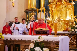 kardynał dziwisz w myślenicach